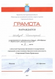 shevtsov_dima_estafeta